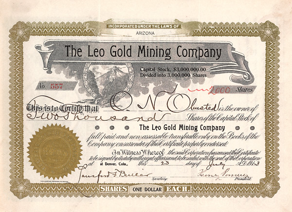 Leo Gold Mining Company